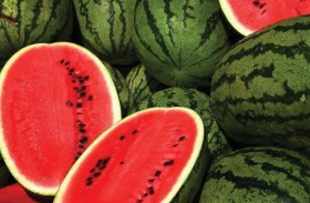 رد رسمي على مزاعم البطيخ المُسرطن في مصر