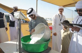 المسابقات التراثية في مهرجان الظفرة تبرز الموروث الإماراتي الأصيل
