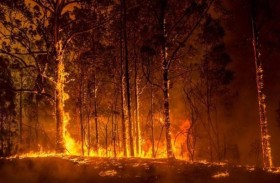 حريق في أستراليا يهدد حياة السكان والمنازل قرب بيرث