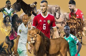 حيوانات ضارية وجوارح فتاكة.. كنيات منتخبات أمم أفريقيا
