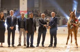 ختام ناجح للجولة التاسعة من كأس الإمارات العالمي لجمال الخيل العربية في إيطاليا