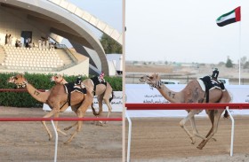 اليوم انطلاق سباقات الثنايا بـ 22 شوطًا وجائزة مليون درهم لكأس البكار المفتوح 