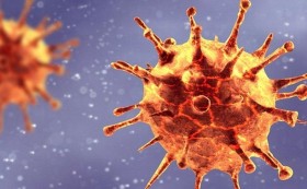 هل يجب أن نقلق من انتشار فيروس أوروبوش؟