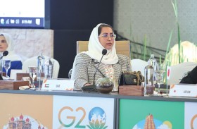 الإمارات تؤكد أهمية الثقافة في تعزيز التعاون ومعالجة القضايا