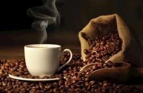 «أمعاء الفيلة» تكشف سر نكهة أغلى أنواع القهوة 