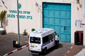 ارتفاع عدد المعتقلين الفلسطينيين المصابين بكورونا