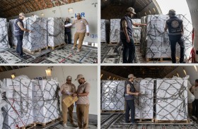 وصول طائرة إماراتية جديدة إلى العريش محمّلة بـ100 طن من المساعدات الغذائية دعماً لغزة