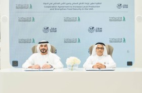 تعاون بين «هيئة دبي للبيئة» و «سلال» لتعزيز الأمن الغذائي المستدام