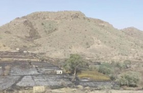 الحوثيون يحرقون منازل ومزارع اليمنيين بالضالع