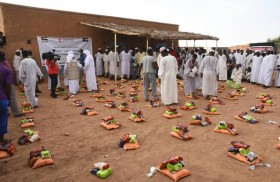 بمكرمة من حاكم عجمان .. مساعدات إنسانية لـ 10 آلاف شخص من المتأثرين من الفيضانات في السودان
