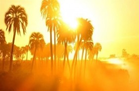 هل يوقف الطقس الحار انتشار كورونا؟