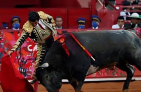 إصابة خطيرة لمصارع الثيران الإسباني مورانتي 