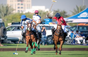 الإمارات يواجه الذئاب ومباراة صعبة للحبتور مع بنجاش 