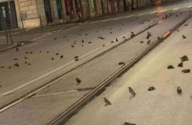 مجزرة في سماء إيطاليا بعد ليلة رأس السنة