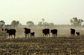 أستراليا تشهد أكتوبر الأكثر جفافا منذ عام 2002 
