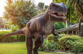 مفاجأة بشأن سرعة الديناصور العملاق تي ركس