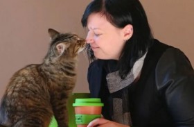 دراسة صادمة.. تربية القطط لها آثار ضارة على الصحة العقلية