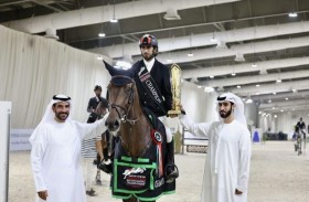 اتحاد الفروسية: بطولات جديدة لقفز الحواجز و14 منافسة صيفية