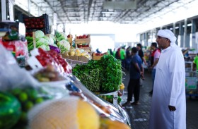 بلدية مدينة العين تنفذ 22 ألف زيارة تفتيشية على المنشآت غير الغذائية خلال النصف الأول