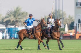 الحبتور يواجه الذئاب والإمارات مع بنجاش في «الملحق» اليوم 
