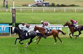 المهر «نمر» ينافس اليوم على لقب كأس الوثبة للخيول العربية في فرنسا