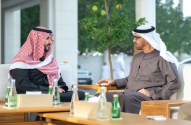 رئيس الدولة يبحث مع خالد بن سلمان علاقات البلدين والقضايا الإقليمية والدولية 