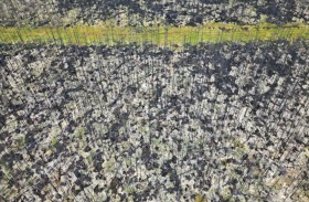  كندا تشهد أسوأ موسم حرائق في تاريخها 