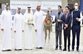 إف إيه إل رشيم لمربط دبي يؤكد صلابة القاعدة الإنتاجية في الإمارات