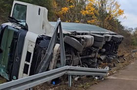 آلاف الدجاجات تغلق شارعاً في ألمانيا