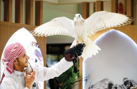 معرض أبوظبي الدولي للصيد والفروسية ينطلق غدا