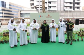 «اينوك» تتعاون مع بلدية دبي لدعم مبادرة «شجرة الشعلة» 