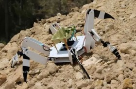 طالبان يبتكران روبوتاً عنكبوتياً لإعادة تشجير الغابات المحترقة