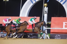 زعبيل فيد راعيا رسميا للدورة الـ 21 لمعرض أبوظبي للصيد والفروسية