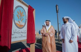 حاكم الشارقة يشهد حصاد المرحلة الأولى لمزرعة القمح (سبع سنابل) في مليحة
