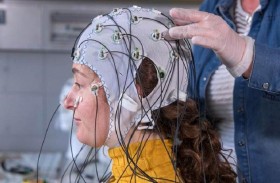 العلماء يوضحون سبب استهلاك الدماغ كمية كبيرة من الطاقة