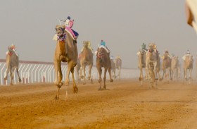 «سمحة» تحلق بناموس الإيذاع في  مهرجان العين للهجن