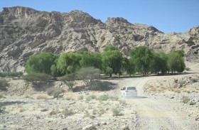 محمية حفيت.. بيئة جبلية فريدة تزخر بتنوع بيولوجي هائل