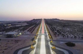 اكتمال تأهيل مدخل القصر بمدينة ليوا  