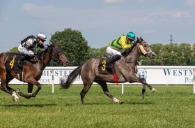 «ثلاثية» للخيال في سباق بولندا للخيول العربية ومشاركة مرتقبة بفرنسا