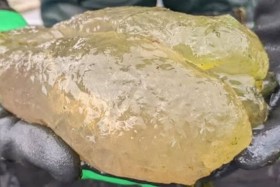 كائنات هلامية غامضة تُشبه العلكة 