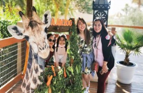 حديقة الحيوانات بالعين تحتفل بعيد ميلاد الزرافة «جانو»