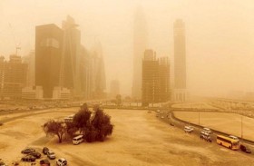 رغم خسائر بالمليارات.. للغبار فوائد بيئية