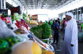 بلدية مدينة العين تكثف استعداداتها الرقابية لعيد الأضحى المبارك