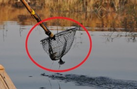 صياد يصطاد زميله بشبكة كهربائية!