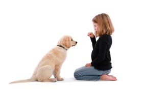 دراسة.. اقتناء كلب وليس قطة يقلل احتمالات إصابة الطفل بالربو