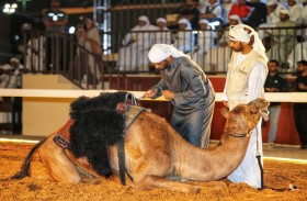 تنافس لافت في الحلقة الثانية من بطولة فزاع لليولة بدبي