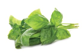 الريحان .. هل يصبح مفتاحا لإبطاء شيخوخة الدماغ