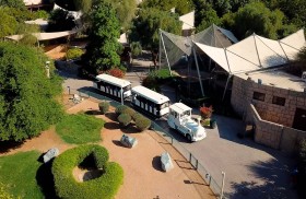 حديقة الحيوانات بالعين تستقبل كبار السن مجانا