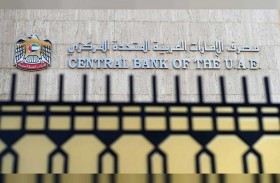 الأصول المصرفية تنمو 0.8 % إلى 3295.8 مليار درهم في نهاية نوفمبر الماضي
