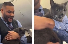 قطة تحوّل رحلة جوية إلى مشهد كوميدي